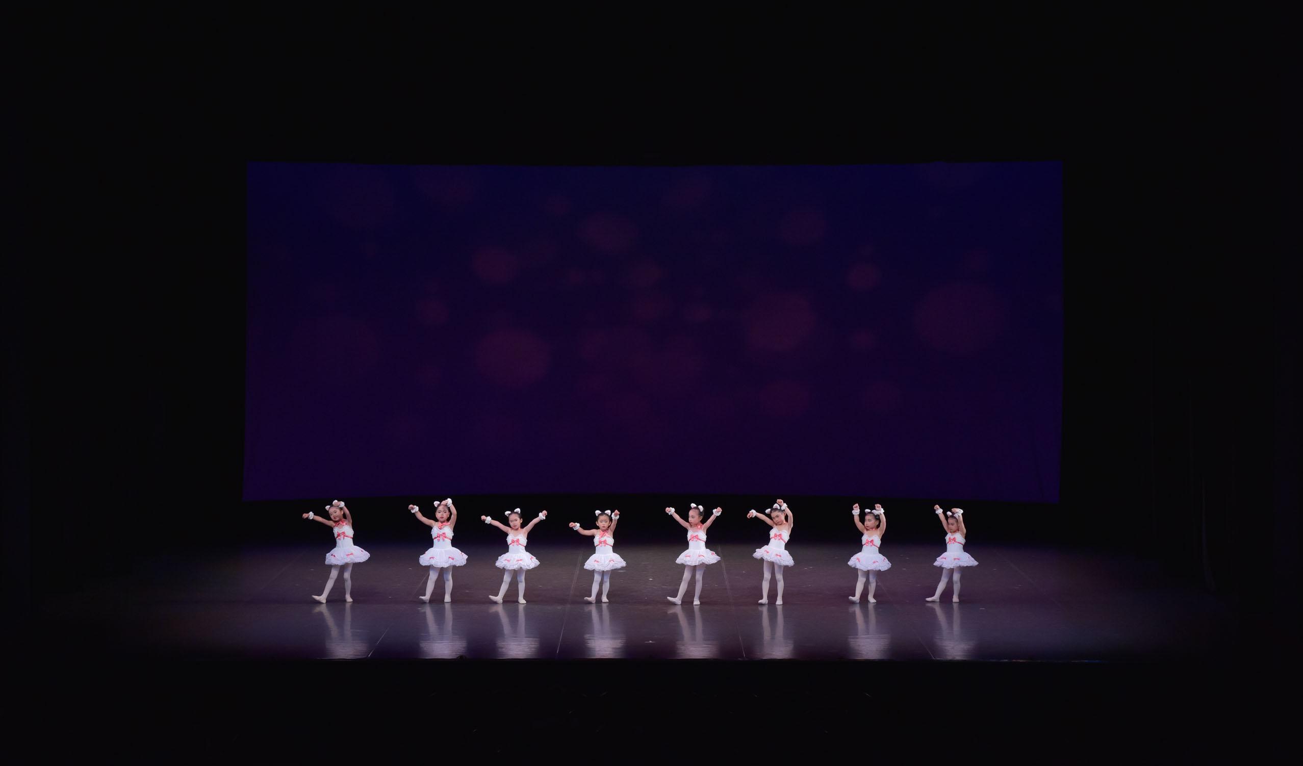 バレエ 幼児~低学年 新クラス準備中・・・ 体験レッスン募集中!!